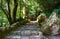 The pedestrian route to the Palace of Pena. Sintra. Portugal