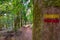 Pedestrian signage for the right path with two red and yellow horizontal lines painted on trees. Forest of silence in Sintra.