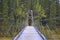 Pedestrian suspension bridge over a river in Denali National Park