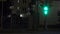 Pedestrian traffic light turns green. Crosswalk at night. 4K shot