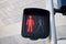 Pedestrian traffic lights