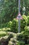 Pedestrian triangular sign on the background of coniferous trees and shrubs