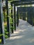 Pedestrian walk with a greenery surrounding