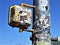 Pedestrian walk signal, Austin, Texas