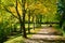 Pedestrian walkway for exercise lined up with beautiful fall trees