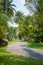 Pedestrian walkway for exercise lined up with beautiful tall trees