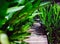 Pedestrian wooden bridge with tropical plants