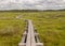 A pedestrian wooden footbridge over swamp wetlands with small pines. bog plants and ponds, a typical West-Estonian bog. Nigula