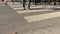 Pedestrians cross over road by zebra crossing in city street