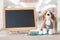 Pediatric doctor for children medical healthcare and child nursing care with dog toy, stethoscope and blank black chalkboard copy