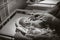 A pediatrician examines a child in the clinic, a newborn girl is lying on the table.Black and white photo