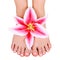 Pedicure. beautiful female feet with lily flower isolated