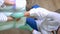 A pedicurist varnishes a young woman`s toenails