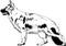 Pedigree dog drawn in ink by hand on a white background, logo