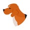 Pedigree dog head beagle