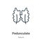 Pedunculate outline vector icon. Thin line black pedunculate icon, flat vector simple element illustration from editable nature