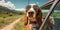 Peek-a-Boo Pooch Sunglasses and Leash on Window of Car during Summer Road Trip - Generative AI
