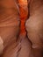 Peek A Boo slot canyon, at Dry Fork, a branch of Coyote Gulch, Grand Staircase Escalante National Monument, Utah, USA
