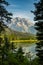 Peeking through Grand Teton Range through Pine Trees