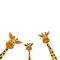 Peeking out Giraffes.Cute cartoon funny giraffes on white background. Vector illustration.