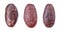Peeled cacao beans, isolated on white background. Roasted and aromatic cocoa beans, natural chocolate. Top view. Macro.