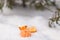 Peeled mandarin under the tree in the snow