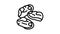 peeled mussel line icon animation