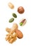 Peeled peanut, hazelnut, green pumpkin seeds, pistachio, cashew, walnut and almond isolated on white background