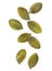 Peeled pumpkin seeds falling on white background