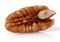 Peeled and roasted Pecan nut