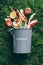 Peeled vegetables in white compost bin on green grass, moss background. Trash bin for composting with leftover from