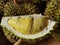 Peeled yellow Mon Thong durian on heap