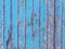 Peeling bright blue paint on old wooden wall