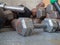 Peeling, rusty dumbbell sitting near stack of other weights in g