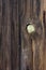 Peephole - weathered wood background with a knotho