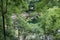 Peering through the foliage of trees down to a lake lined by a walking path at Janesville`s Rotary Botanic Gardens