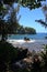 Peering through the rainforest to the Pacific Ocean at Onomea Bay, Papaikou, Hawaii