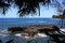 Peering through the trees to a volcanic rock shelf in the Pacific Ocean and the shoreline at Onomea Bay, Hawaii