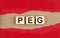 PEG word on wooden cubes on red torn paper , financial concept background