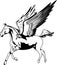 Pegasus Winged Horse Illustration