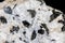 Pegmatite granite; large black biotite mica crystals. Black background.