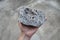 Pegmatite granite rock specimen in a hand.
