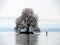 The Peilz Island with a large plane tree ÃŽle de Peilz or Guano island in Lake Geneva lac de GenÃ¨ve, lac LÃ©man or Genfersee