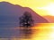 The Peilz Island with a large plane tree ÃŽle de Peilz or Guano island in Lake Geneva lac de GenÃ¨ve, lac LÃ©man or Genfersee