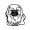 Pekingese dog - Lying dog vector stock isolated illustration on white background.
