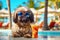 Pekingese dog is relaxing on the beach with a cocktail. A summer holiday concept. Generative AI