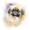 pekingese Generative Ai