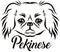 Pekingese head german name