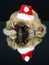 Pekingese puppy on mirror with santa hat