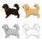 Pekingese vector icon in cartoon style for web